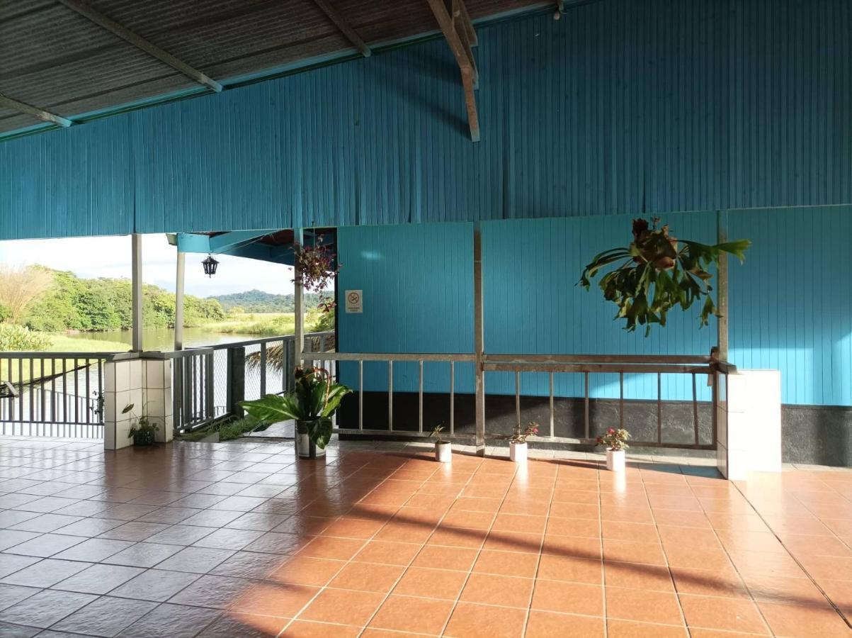 Hotel Gaviotas De Osa Sierpe Buitenkant foto